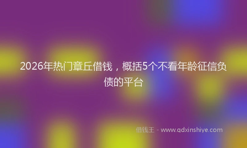 2026年热门章丘借钱，概括5个不看年龄征信负债的平台