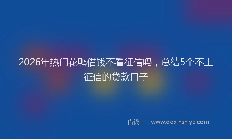 2026年热门花鸭借钱不看征信吗，总结5个不上征信的贷款口子