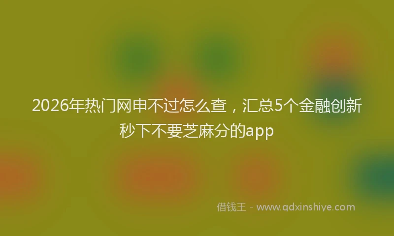 2026年热门网申不过怎么查，汇总5个金融创新秒下不要芝麻分的app