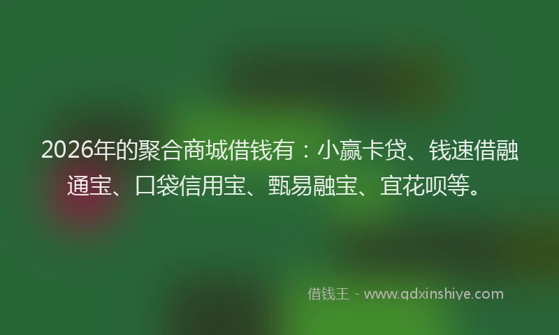 2026年的聚合商城借钱有：小赢卡贷、钱速借融通宝、口袋信用宝、甄易融宝、宜花呗等。