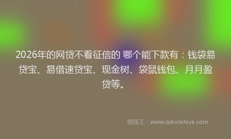2026年的网贷不看征信的 哪个能下款有：钱袋易贷宝、易借速贷宝、现金树、袋鼠钱包、月月盈贷等。