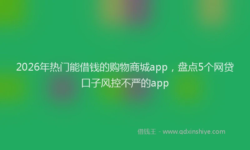 2026年热门能借钱的购物商城app，盘点5个网贷口子风控不严的app