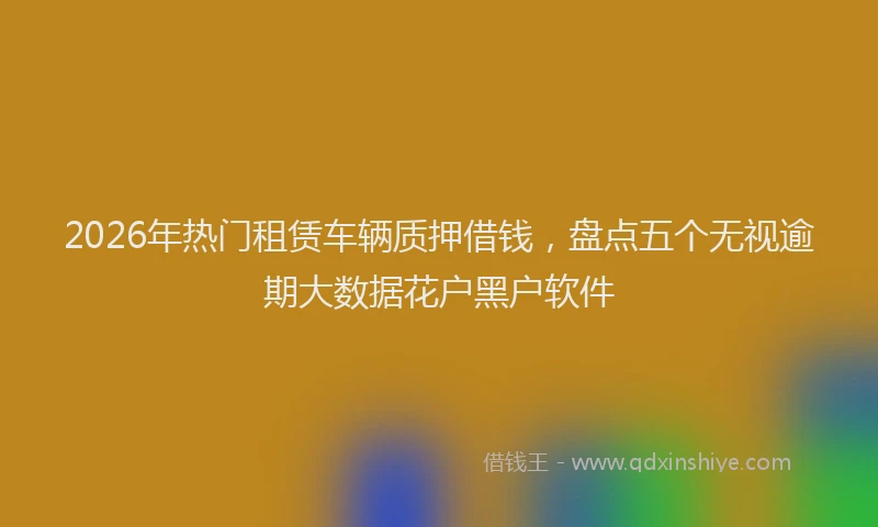 2026年热门租赁车辆质押借钱，盘点五个无视逾期大数据花户黑户软件