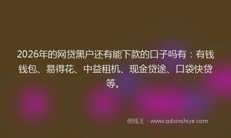 2026年的网贷黑户还有能下款的口子吗有：有钱钱包、易得花、中益租机、现金贷途、口袋快贷等。