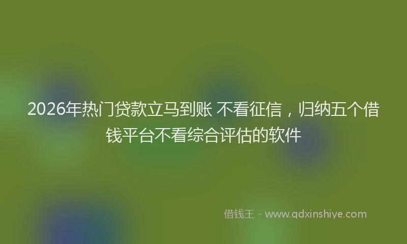 2026年热门贷款立马到账 不看征信，归纳五个借钱平台不看综合评估的软件