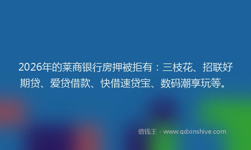 2026年的莱商银行房押被拒有：三枝花、招联好期贷、爱贷借款、快借速贷宝、数码潮享玩等。