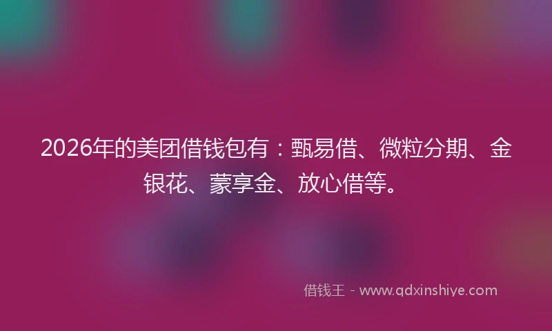 2026年的美团借钱包有：甄易借、微粒分期、金银花、蒙享金、放心借等。