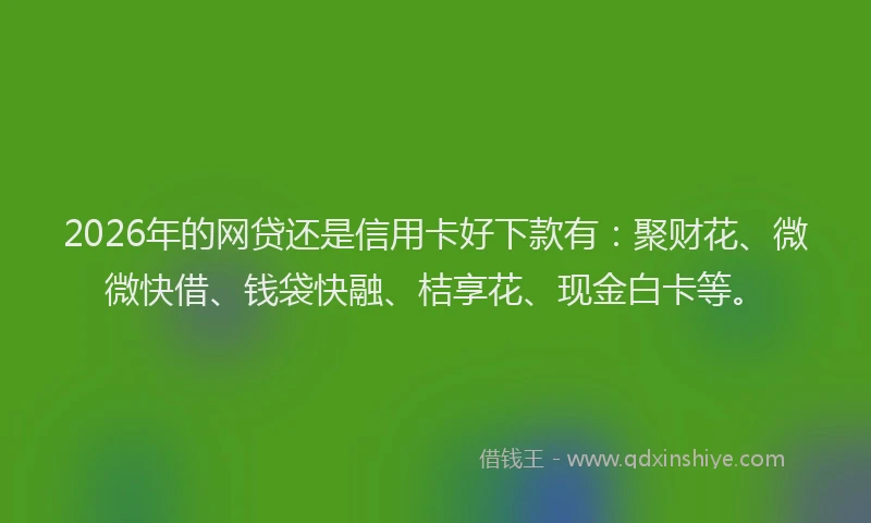 2026年的网贷还是信用卡好下款有：聚财花、微微快借、钱袋快融、桔享花、现金白卡等。