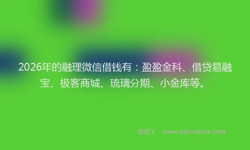 2026年的融理微信借钱有：盈盈金科、借贷易融宝、极客商城、琉璃分期、小金库等。