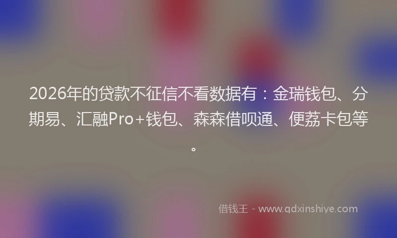 2026年的贷款不征信不看数据有：金瑞钱包、分期易、汇融Pro+钱包、森森借呗通、便荔卡包等。