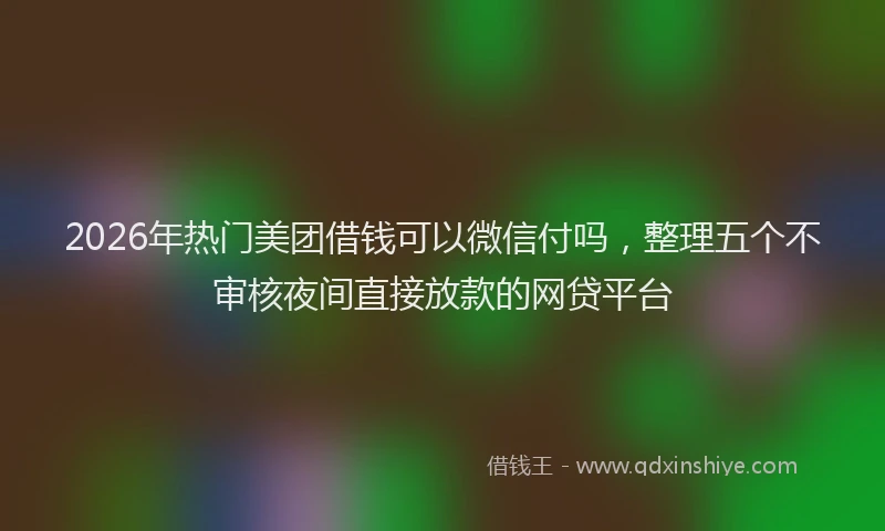 2026年热门美团借钱可以微信付吗，整理五个不审核夜间直接放款的网贷平台