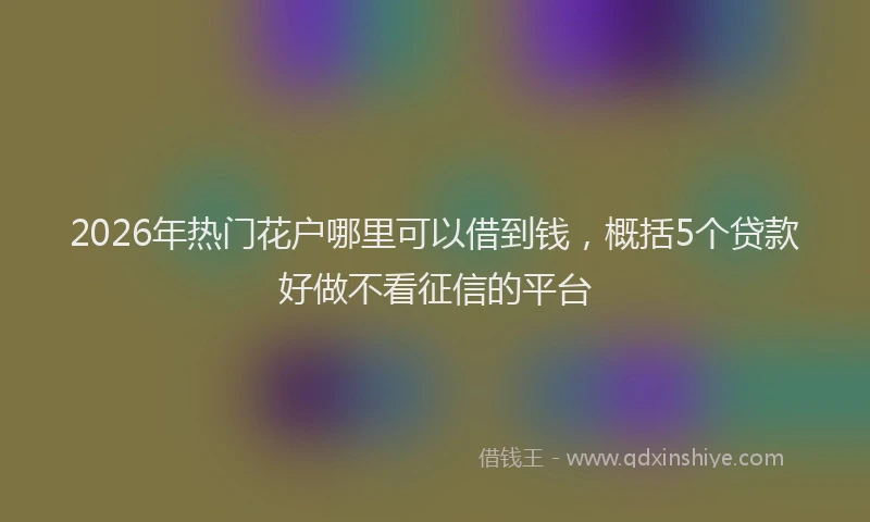 2026年热门花户哪里可以借到钱，概括5个贷款好做不看征信的平台