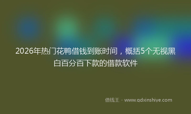 2026年热门花鸭借钱到账时间，概括5个无视黑白百分百下款的借款软件