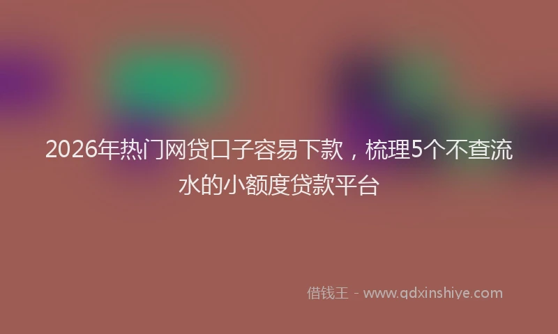 2026年热门网贷口子容易下款，梳理5个不查流水的小额度贷款平台