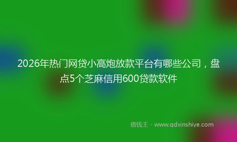 2026年热门网贷小高炮放款平台有哪些公司，盘点5个芝麻信用600贷款软件