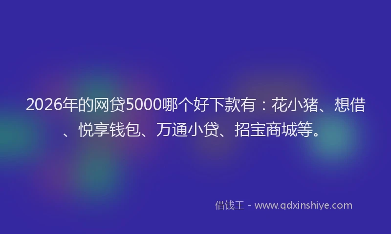 2026年的网贷5000哪个好下款有：花小猪、想借、悦享钱包、万通小贷、招宝商城等。
