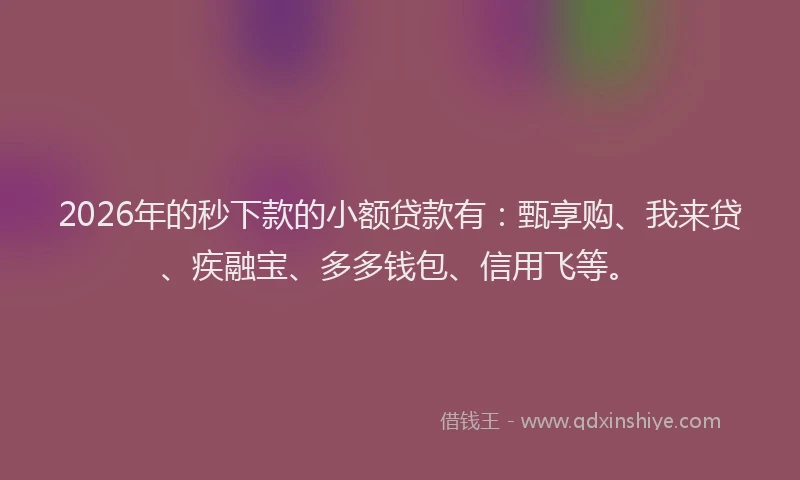 2026年的秒下款的小额贷款有：甄享购、我来贷、疾融宝、多多钱包、信用飞等。