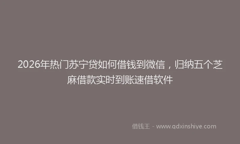 2026年热门苏宁贷如何借钱到微信，归纳五个芝麻借款实时到账速借软件