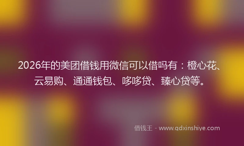 2026年的美团借钱用微信可以借吗有:橙心花、云易购、通通钱包、哆哆贷、臻心贷等。