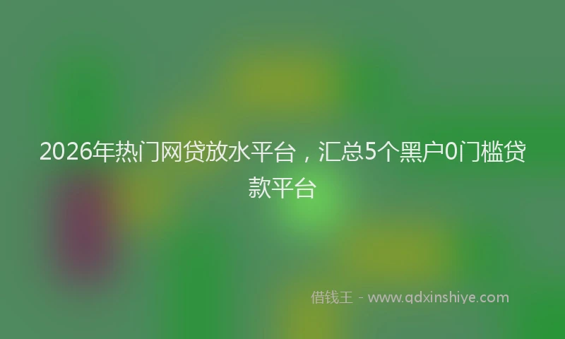 2026年热门网贷放水平台，汇总5个黑户0门槛贷款平台