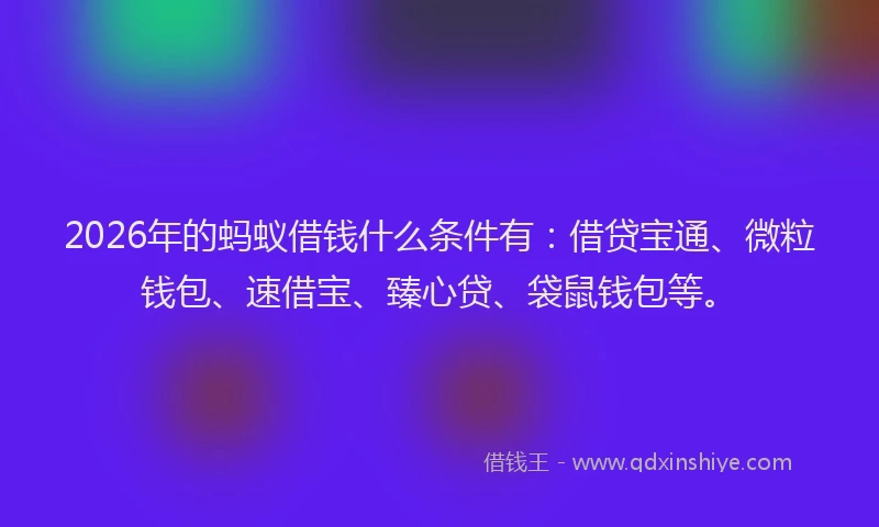 2026年的蚂蚁借钱什么条件有：借贷宝通、微粒钱包、速借宝、臻心贷、袋鼠钱包等。