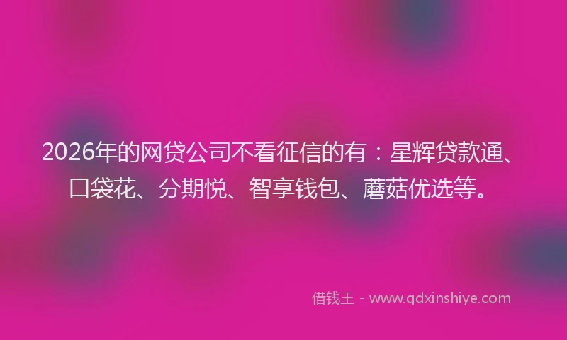 2026年的网贷公司不看征信的有：星辉贷款通、口袋花、分期悦、智享钱包、蘑菇优选等。