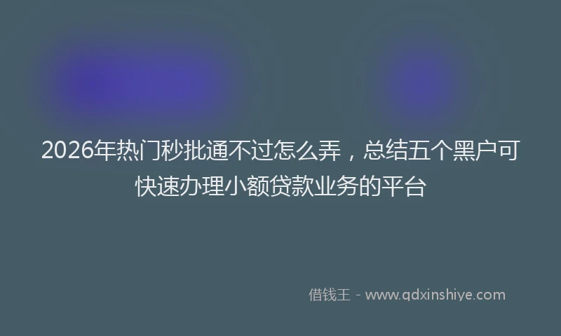 2026年热门秒批通不过怎么弄，总结五个黑户可快速办理小额贷款业务的平台