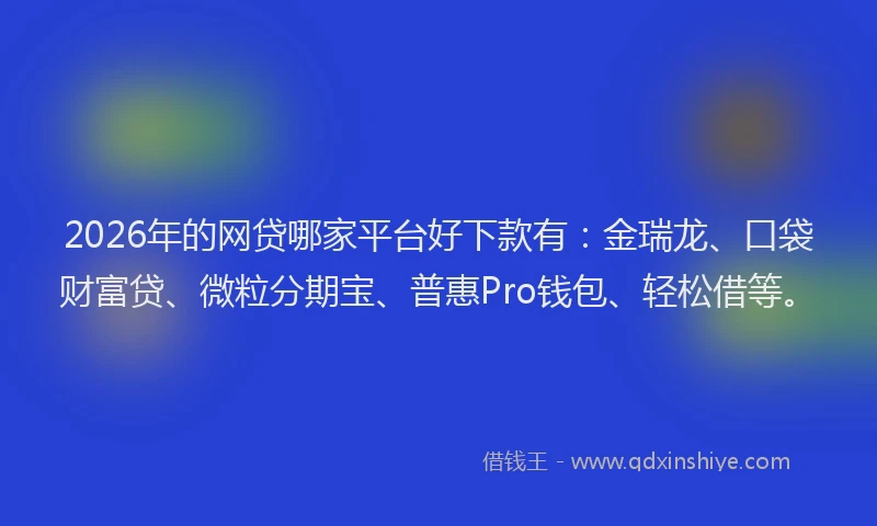 2026年的网贷哪家平台好下款有:金瑞龙、口袋财富贷、微粒分期宝、普惠Pro钱包、轻松借等。