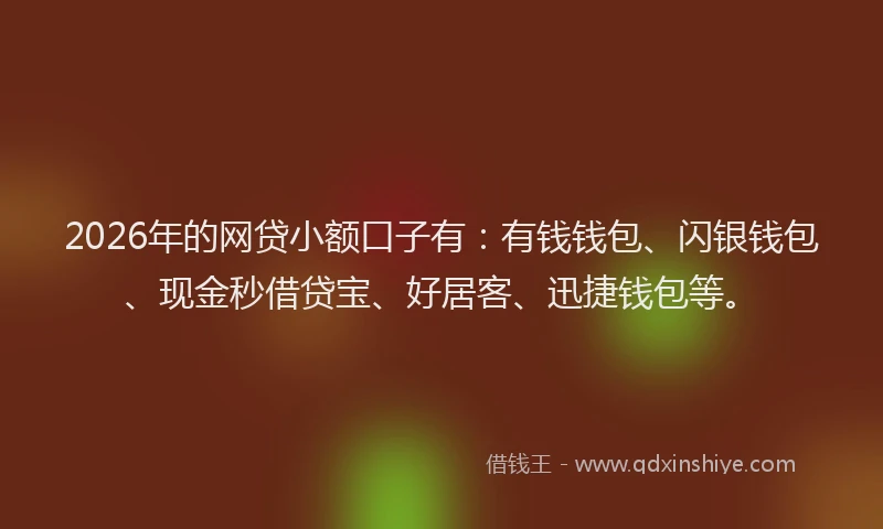2026年的网贷小额口子有:有钱钱包、闪银钱包、现金秒借贷宝、好居客、迅捷钱包等。