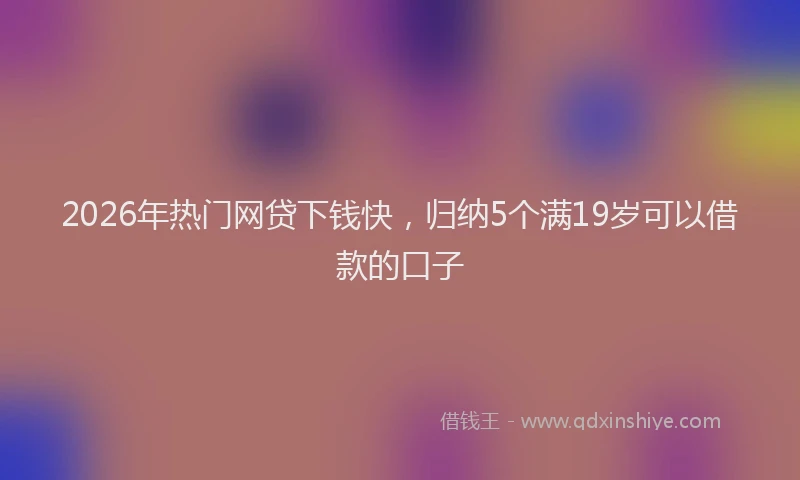 2026年热门网贷下钱快，归纳5个满19岁可以借款的口子