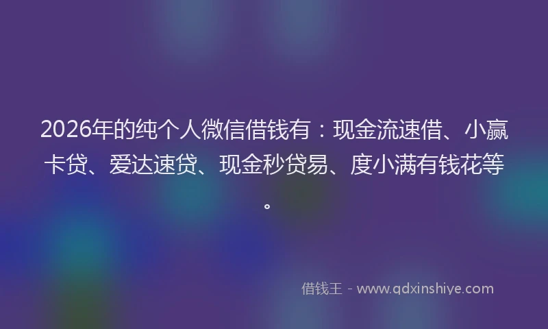 2026年的纯个人微信借钱有：现金流速借、小赢卡贷、爱达速贷、现金秒贷易、度小满有钱花等。
