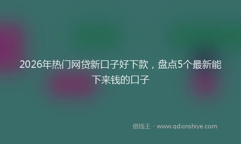 2026年热门网贷新口子好下款，盘点5个最新能下来钱的口子