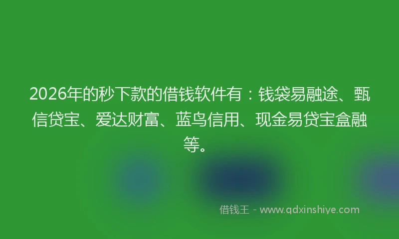 2026年的秒下款的借钱软件有:钱袋易融途、甄信贷宝、爱达财富、蓝鸟信用、现金易贷宝盒融等。