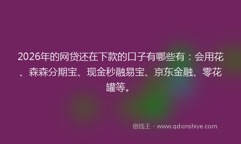 2026年的网贷还在下款的口子有哪些有：会用花、森森分期宝、现金秒融易宝、京东金融、零花罐等。