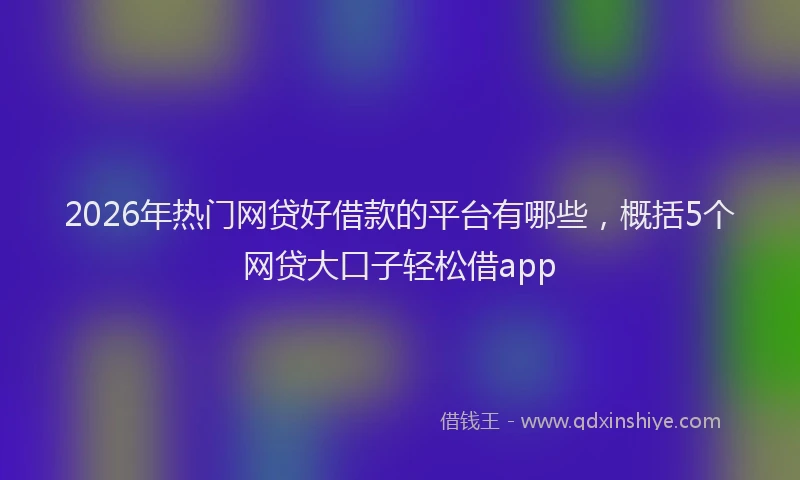 2026年热门网贷好借款的平台有哪些,概括5个网贷大口子轻松借app