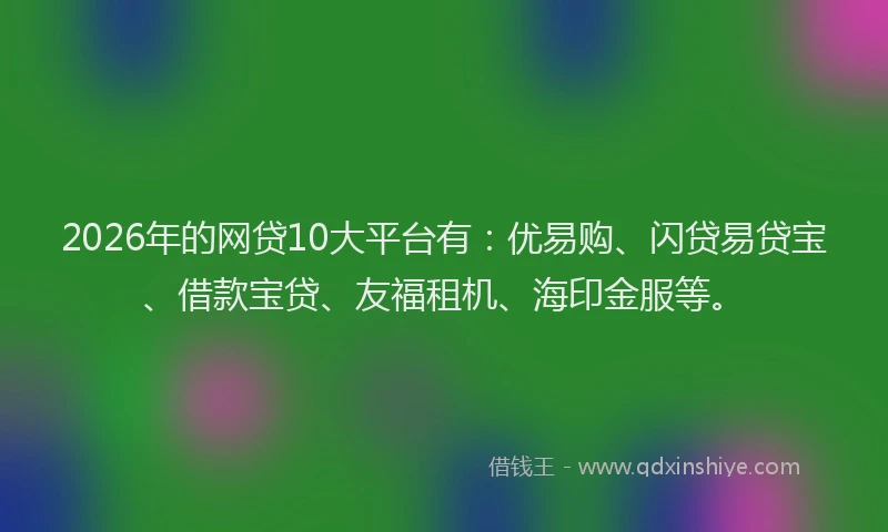 2026年的网贷10大平台有：优易购、闪贷易贷宝、借款宝贷、友福租机、海印金服等。