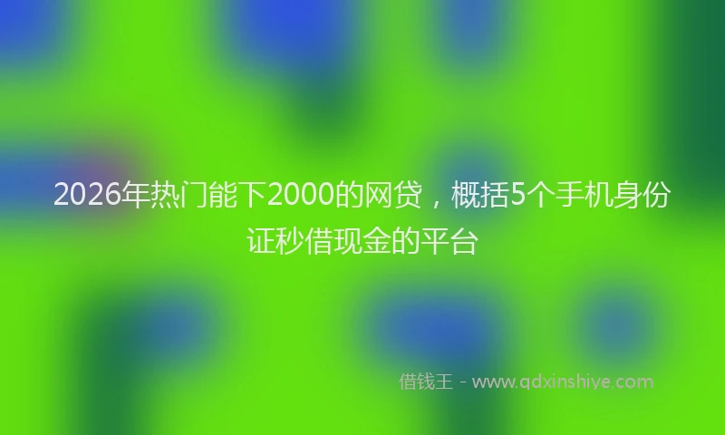 2026年热门能下2000的网贷，概括5个手机身份证秒借现金的平台