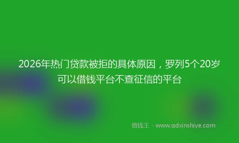 2026年热门贷款被拒的具体原因，罗列5个20岁可以借钱平台不查征信的平台