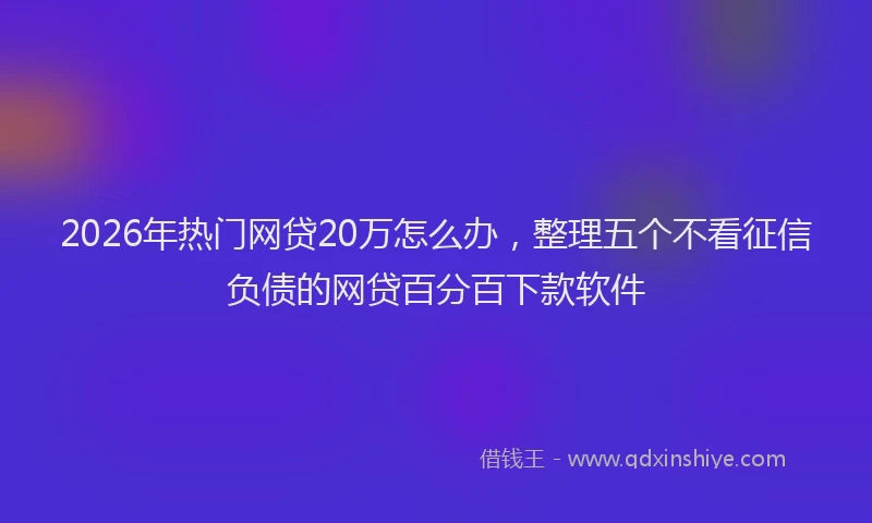 2026年热门网贷20万怎么办，整理五个不看征信负债的网贷百分百下款软件