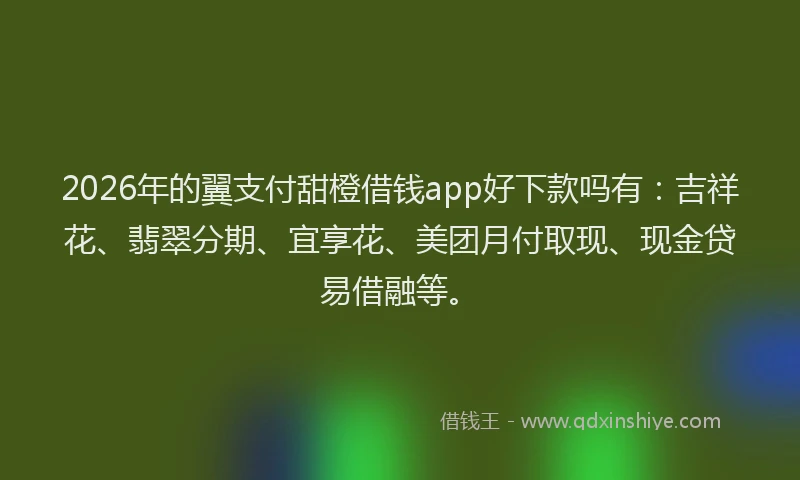2026年的翼支付甜橙借钱app好下款吗有：吉祥花、翡翠分期、宜享花、美团月付取现、现金贷易借融等。