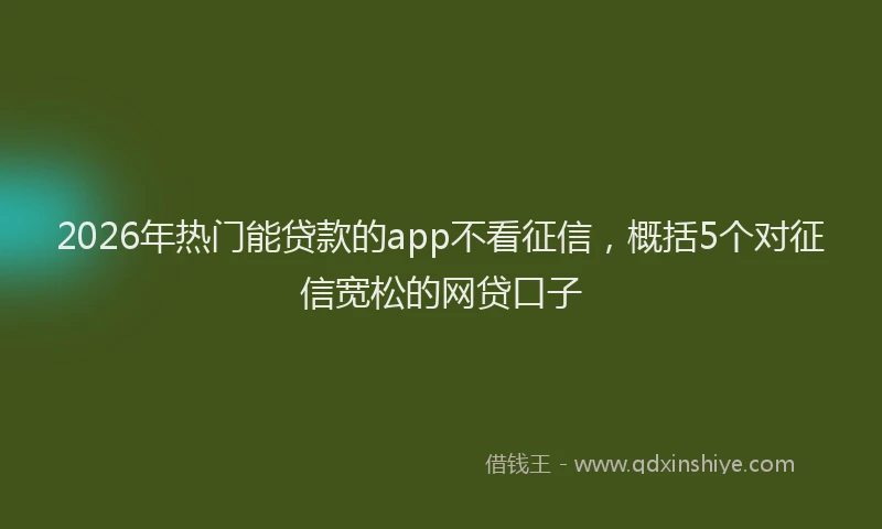 2026年热门能贷款的app不看征信，概括5个对征信宽松的网贷口子