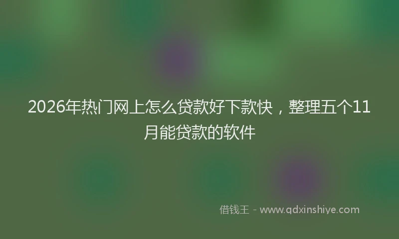 2026年热门网上怎么贷款好下款快，整理五个11月能贷款的软件