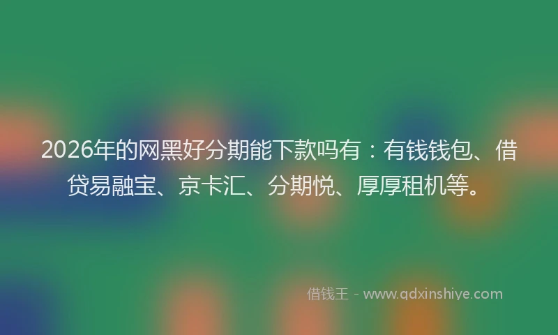 2026年的网黑好分期能下款吗有：有钱钱包、借贷易融宝、京卡汇、分期悦、厚厚租机等。
