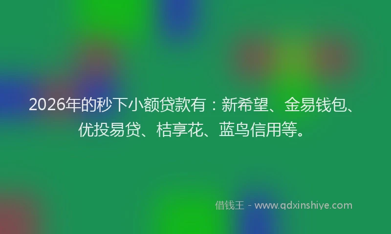 2026年的秒下小额贷款有：新希望、金易钱包、优投易贷、桔享花、蓝鸟信用等。