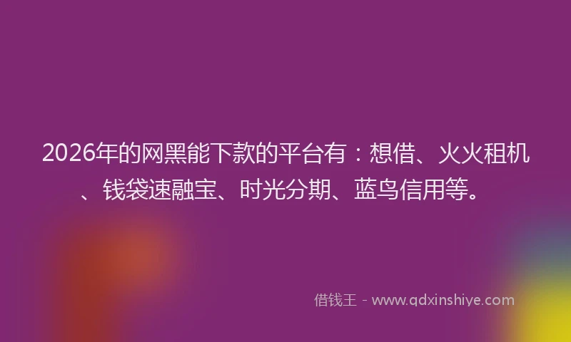 2026年的网黑能下款的平台有：想借、火火租机、钱袋速融宝、时光分期、蓝鸟信用等。