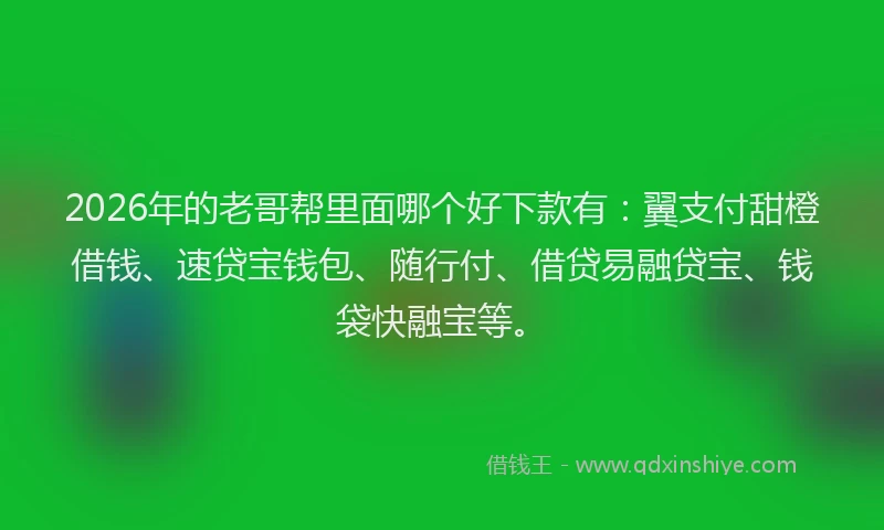 2026年的老哥帮里面哪个好下款有：翼支付甜橙借钱、速贷宝钱包、随行付、借贷易融贷宝、钱袋快融宝等。
