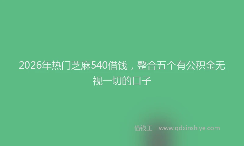 2026年热门芝麻540借钱，整合五个有公积金无视一切的口子