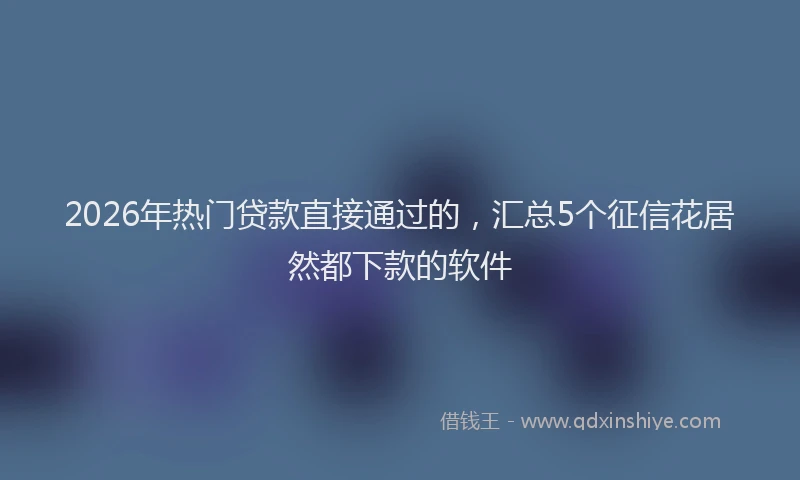 2026年热门贷款直接通过的，汇总5个征信花居然都下款的软件