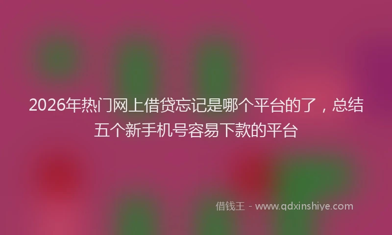 2026年热门网上借贷忘记是哪个平台的了，总结五个新手机号容易下款的平台