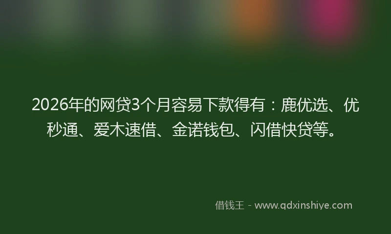 2026年的网贷3个月容易下款得有：鹿优选、优秒通、爱木速借、金诺钱包、闪借快贷等。